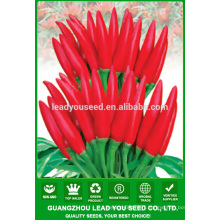 NP17 Lajiao Different types of seeds hybrid chilli seeds taste hot chilli seeds